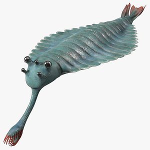 3D Green Opabinia