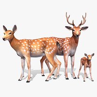 Deer Family