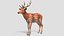 3D Deer Family
