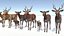 3D Deer Family