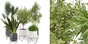 3D Collection plant vol 229 - blender model