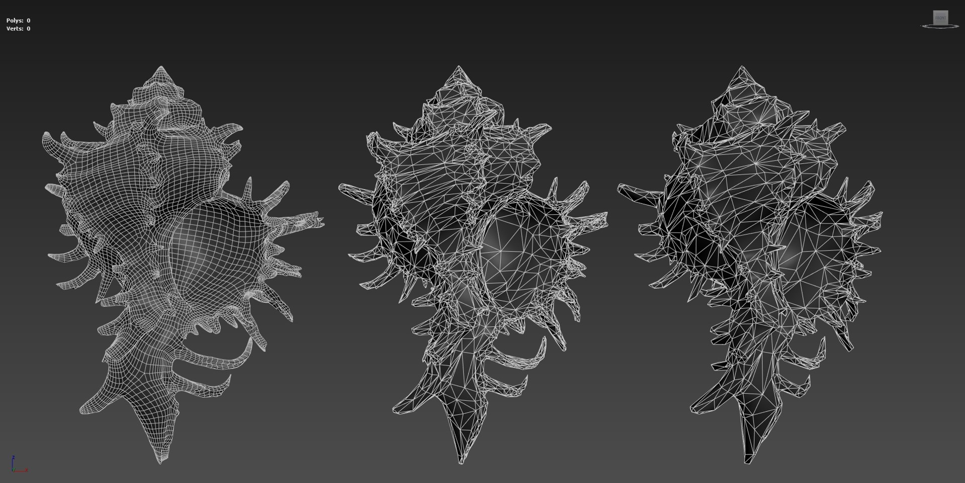 Chicoreus Chicoreum Murex Endivia Sea Shell 3D - TurboSquid 2082222