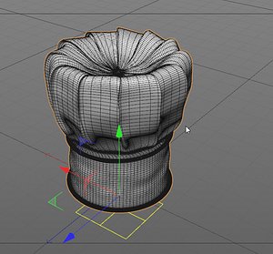 Chefs Hat