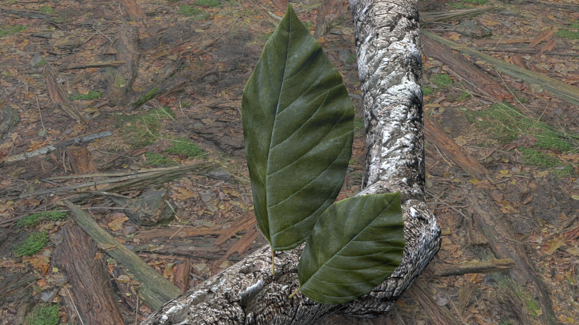 3D 3d stick model https://p.turbosquid.com/ts-thumb/zU/CI5Vh0/dB/3/jpg/1682537879/1920x1080/fit_q87/ee89e64f6f08d2684de8d39aeebe2f5711b295b6/3.jpg