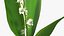 Lily of the Valley 3 Branches