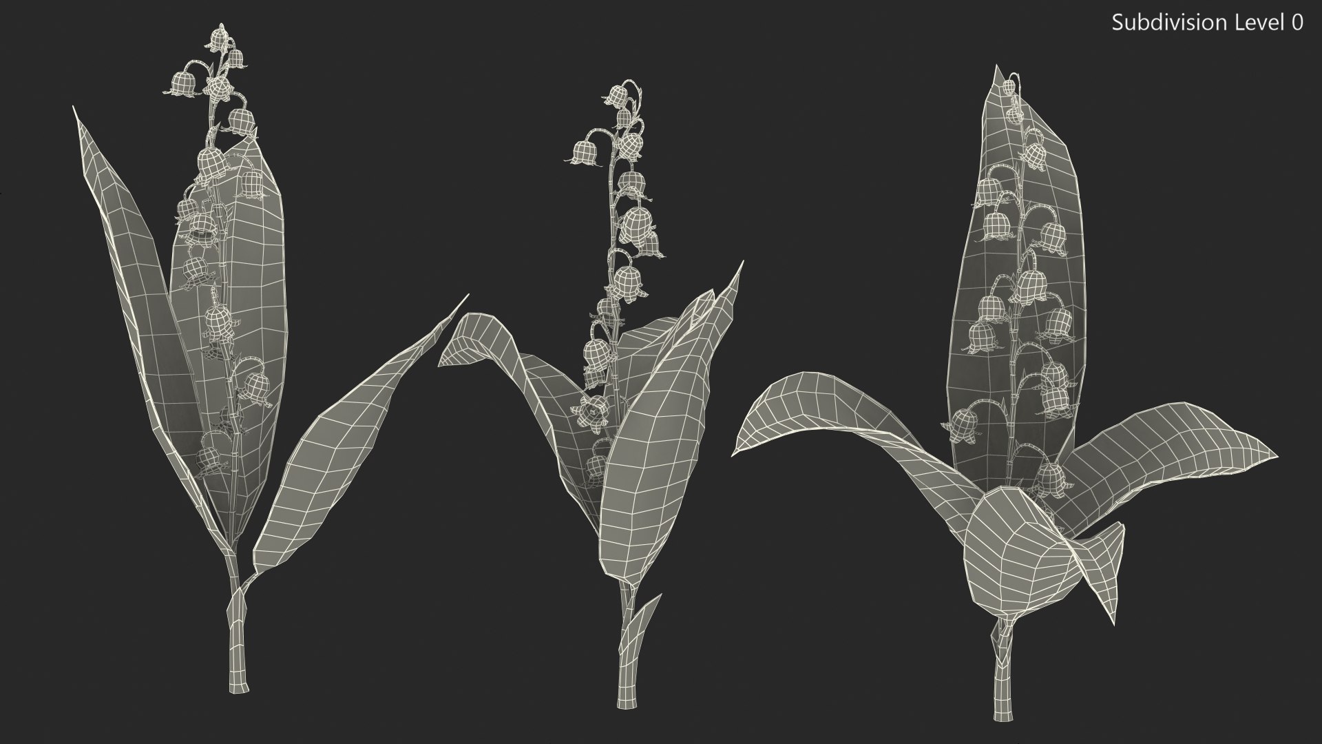 3D Lily of the Valley 3 Branches https://p.turbosquid.com/ts-thumb/zU/Dxay6b/5G/lilyofthevalley3branchesvray3dmodel017/jpg/1654089628/1920x1080/fit_q87/92ddf6d8163515fd9fd78ea60b18c85075370df2/lilyofthevalley3branchesvray3dmodel017.jpg