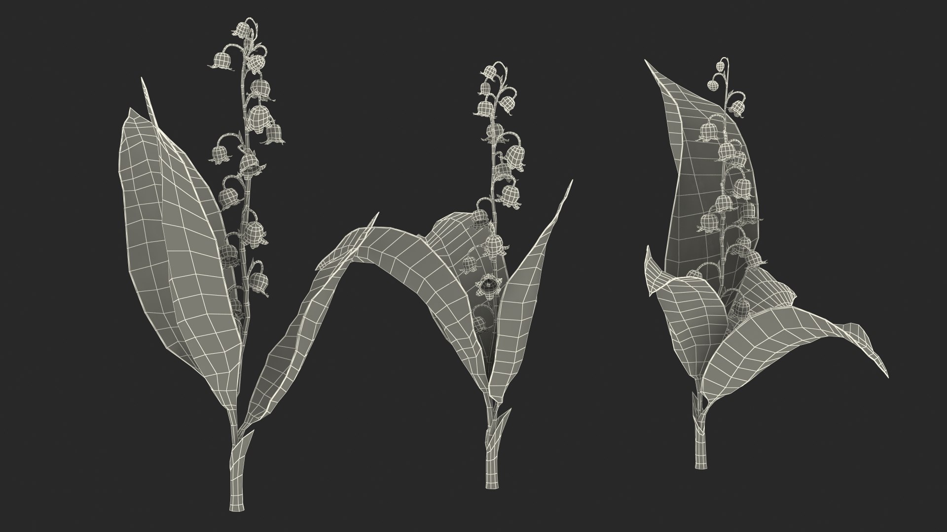 3D Lily of the Valley 3 Branches https://p.turbosquid.com/ts-thumb/zU/Dxay6b/A2/lilyofthevalley3branchesvray3dmodel026/jpg/1654089657/1920x1080/fit_q87/3e70a9d5a15d6d31f9852eeece7ef51ee9cfc4d4/lilyofthevalley3branchesvray3dmodel026.jpg