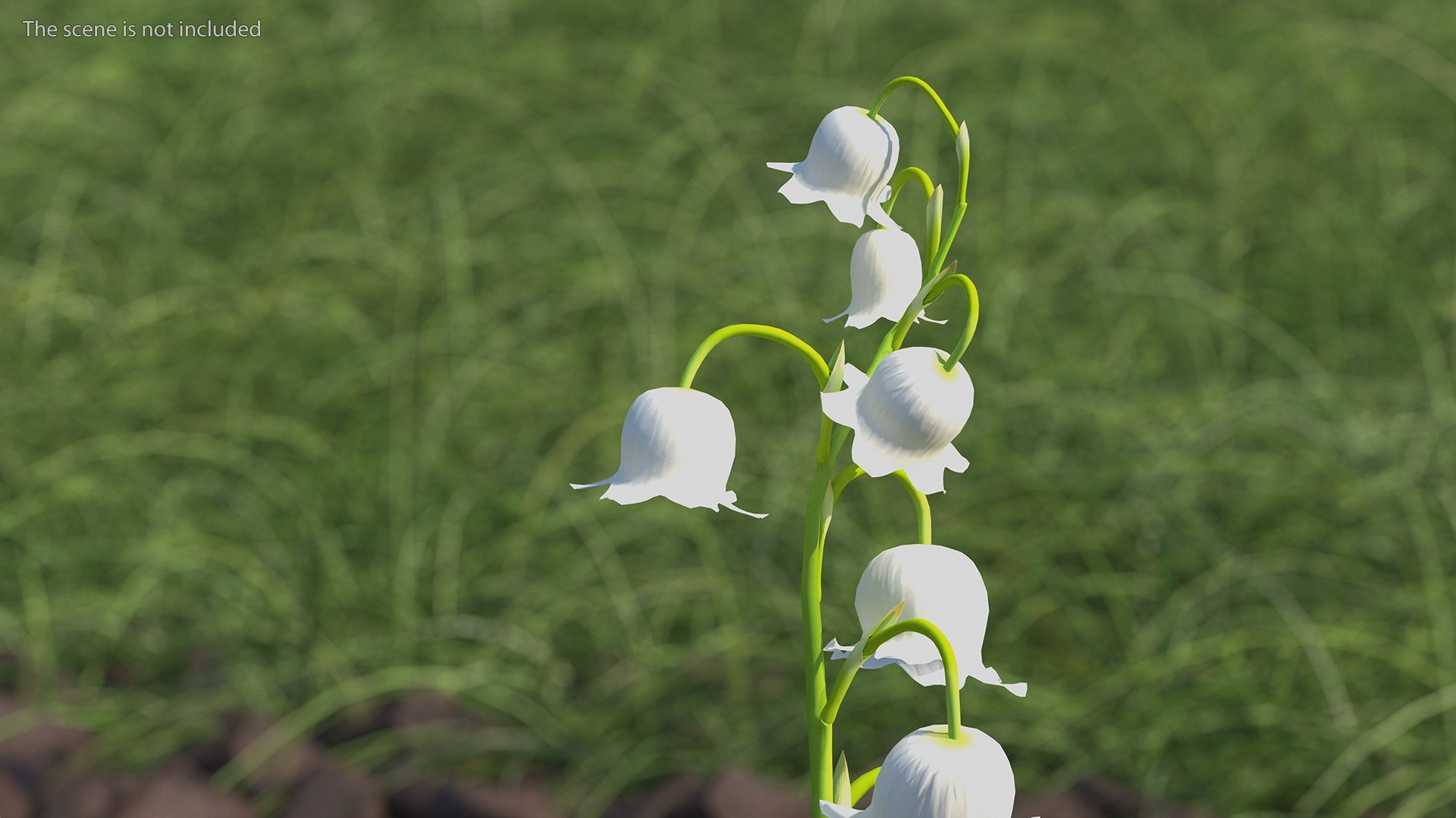 3D Lily of the Valley 3 Branches https://p.turbosquid.com/ts-thumb/zU/Dxay6b/gb/lilyofthevalley3branchesvray3dmodel004/jpg/1654089583/1920x1080/fit_q87/708d27db86fa3568759b9db4e9122a76f706ec98/lilyofthevalley3branchesvray3dmodel004.jpg
