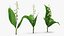 Lily of the Valley 3 Branches