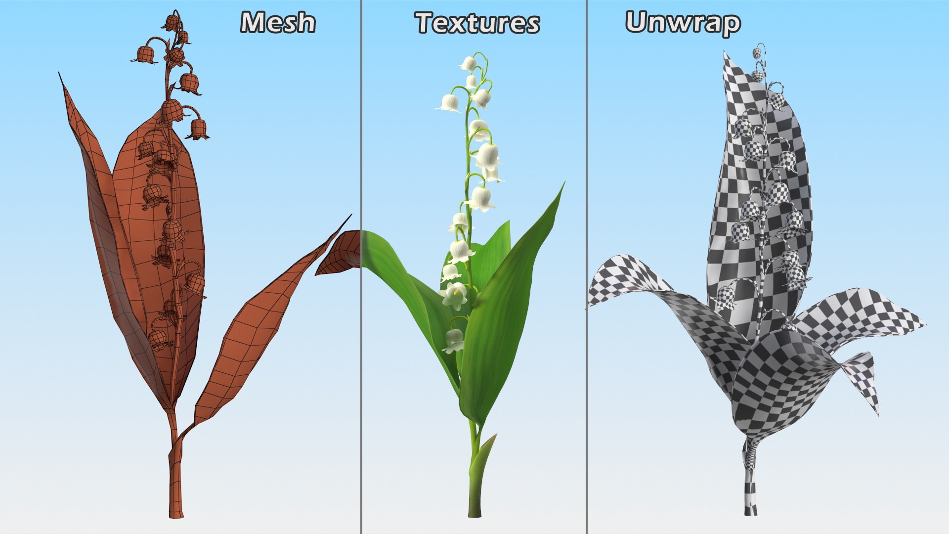 3D Lily of the Valley 3 Branches https://p.turbosquid.com/ts-thumb/zU/Dxay6b/mq/lilyofthevalley3branchesvray3dmodel016/jpg/1654089625/1920x1080/fit_q87/a3a21bafa56c02020f7d93b5ac300227ce95226a/lilyofthevalley3branchesvray3dmodel016.jpg