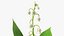 Lily of the Valley 3 Branches