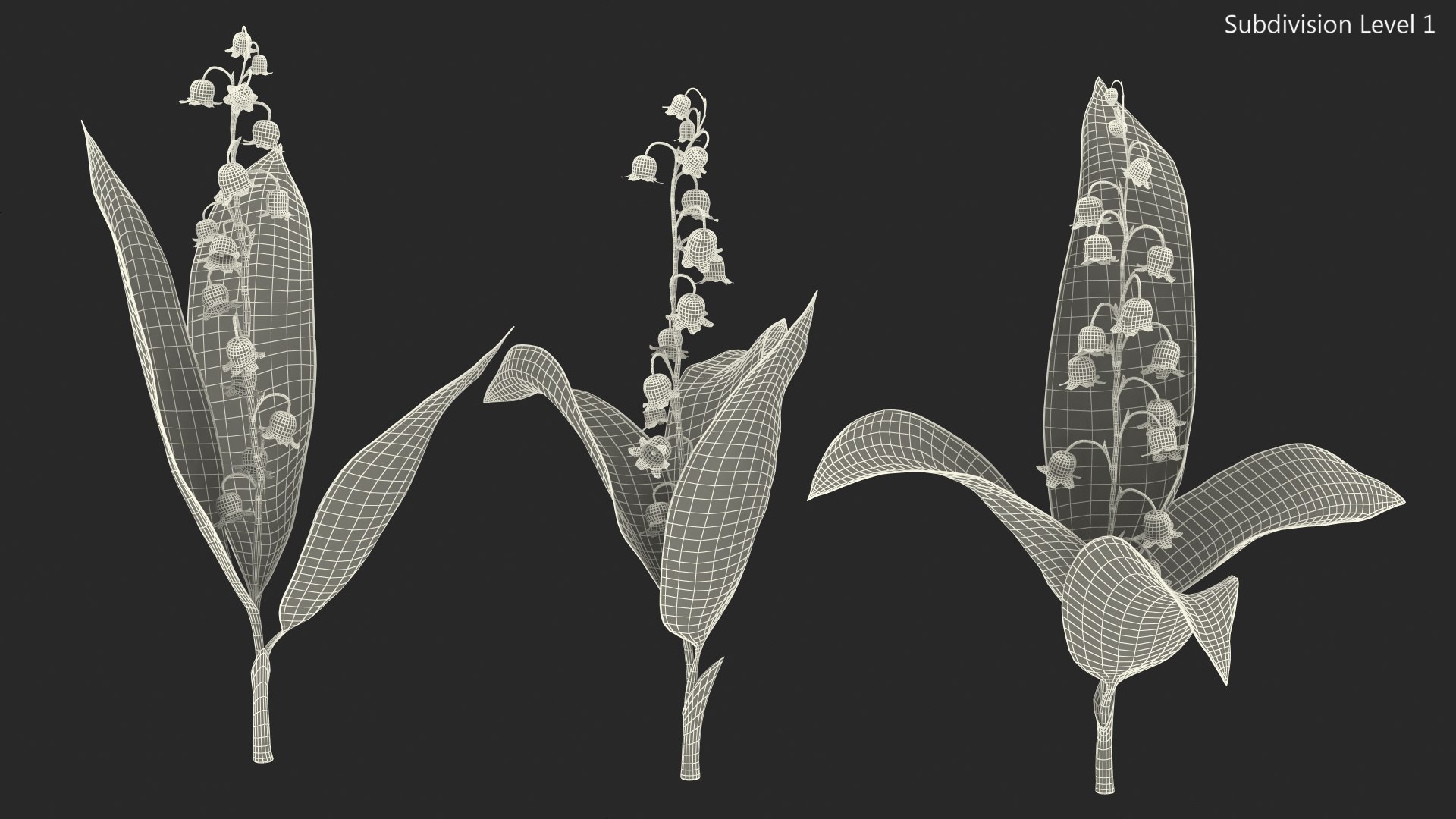 3D Lily of the Valley 3 Branches https://p.turbosquid.com/ts-thumb/zU/Dxay6b/zZ/lilyofthevalley3branchesvray3dmodel018/jpg/1654089631/1920x1080/fit_q87/6d530540d749f71897d6de1fdbbea8c9841c6fb7/lilyofthevalley3branchesvray3dmodel018.jpg