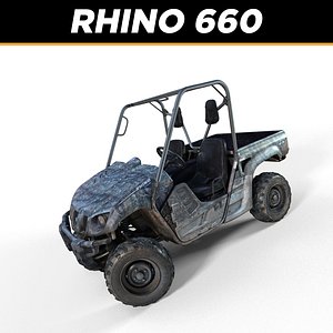 Rhino dune buggy on sale