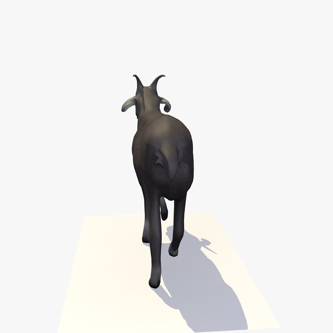 Goat walking rigged animal 3D model - TurboSquid 1155099