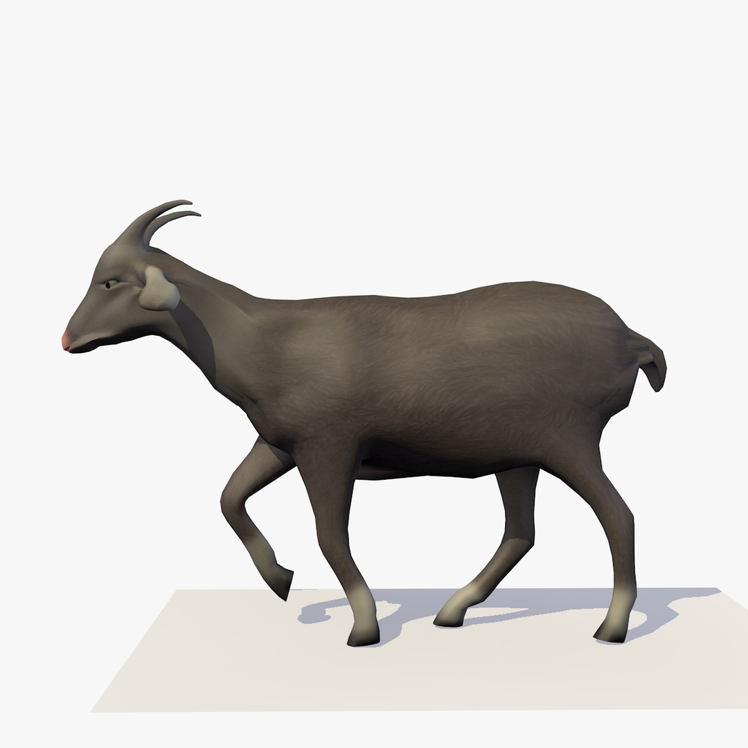 Goat walking rigged animal 3D model - TurboSquid 1155099
