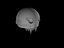 skull(rendered).mb