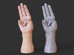 3D Male Hand Pose 18 model