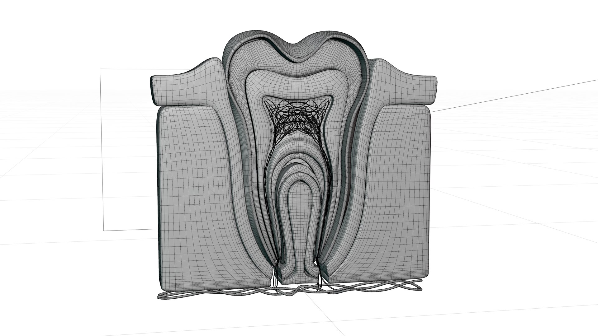 Teeth Anatomy Cutaway model https://p.turbosquid.com/ts-thumb/zU/dsSFRY/8u/w4/png/1758222371/1920x1080/fit_q87/091a9411513c24b8739cf8958c675c70bd16c58b/w4.jpg