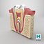 Teeth Anatomy Cutaway