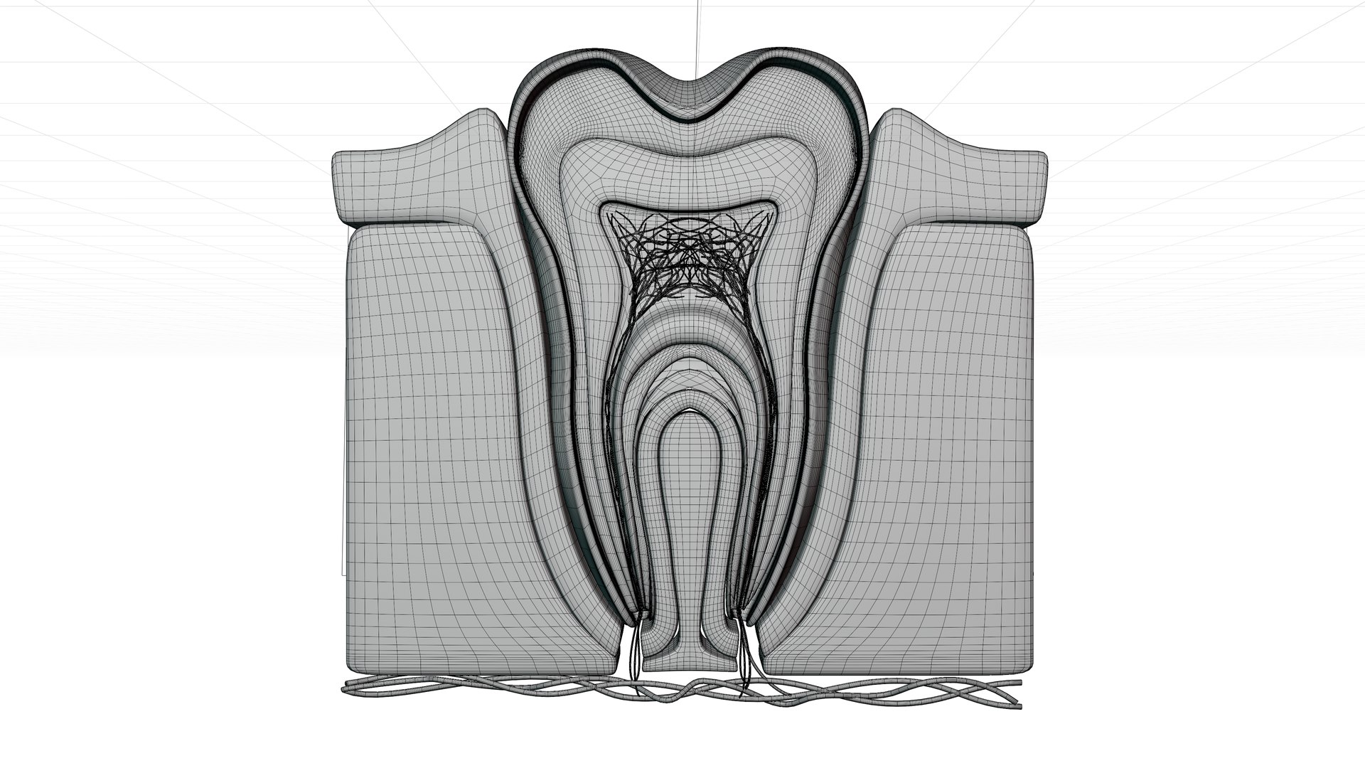 Teeth Anatomy Cutaway model https://p.turbosquid.com/ts-thumb/zU/dsSFRY/qu/w1/png/1758222368/1920x1080/fit_q87/72ef5ba8fb2f05cecdead06b7a57454788c2f8f7/w1.jpg
