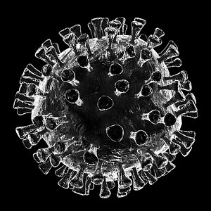 electron virus model