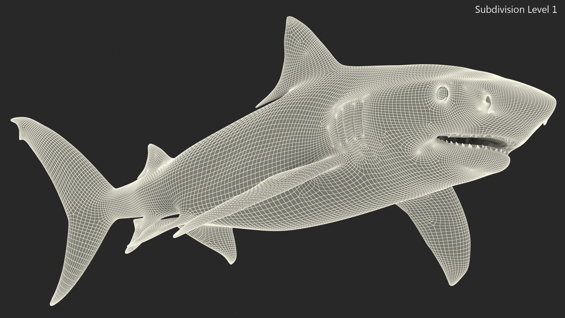 3d tiger shark https://p.turbosquid.com/ts-thumb/zU/oaMDGp/73/tiger_shark_023/jpg/1669365533/1920x1080/fit_q87/1c7b8aaa956bdb6e3ad90965abac38bf4617c67c/tiger_shark_023.jpg