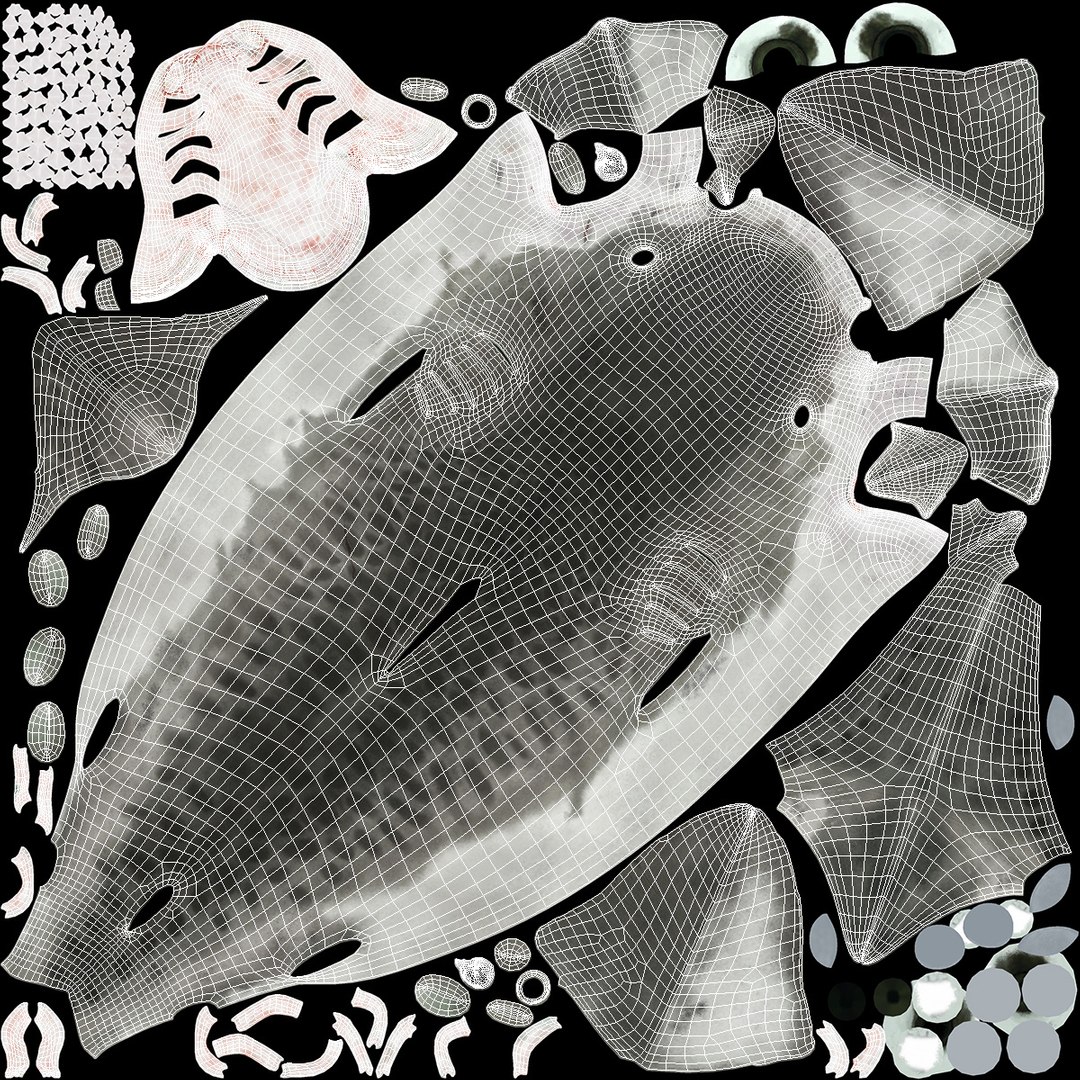 3d tiger shark https://p.turbosquid.com/ts-thumb/zU/oaMDGp/84/tiger_shark_024/jpg/1669365533/1920x1080/fit_q87/60761920425a49e9292165ef6ae682d95f9c5b16/tiger_shark_024.jpg