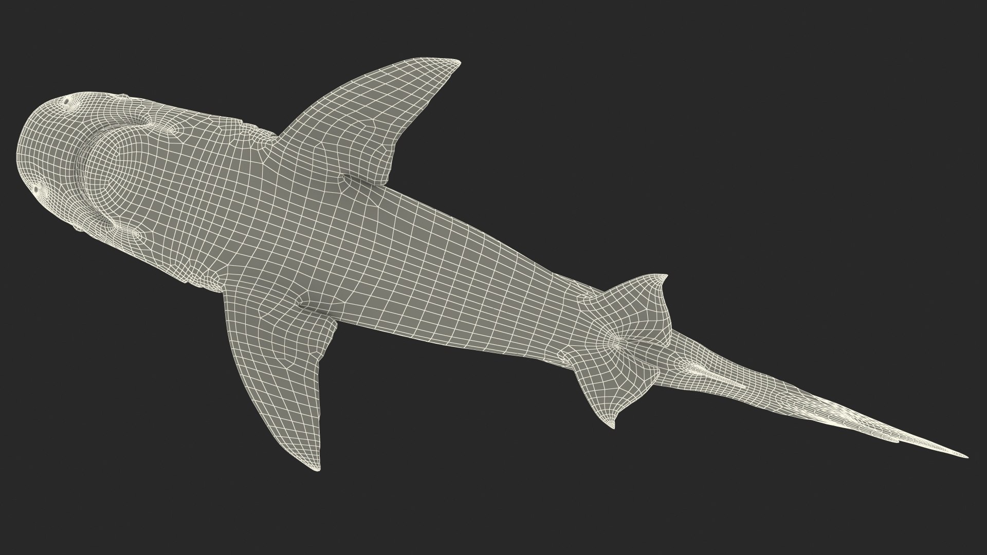 3d tiger shark https://p.turbosquid.com/ts-thumb/zU/oaMDGp/Ga/tiger_shark_029/jpg/1669365535/1920x1080/fit_q87/55b85dfc41067e8a179e97e7ec7c34ba3726d651/tiger_shark_029.jpg
