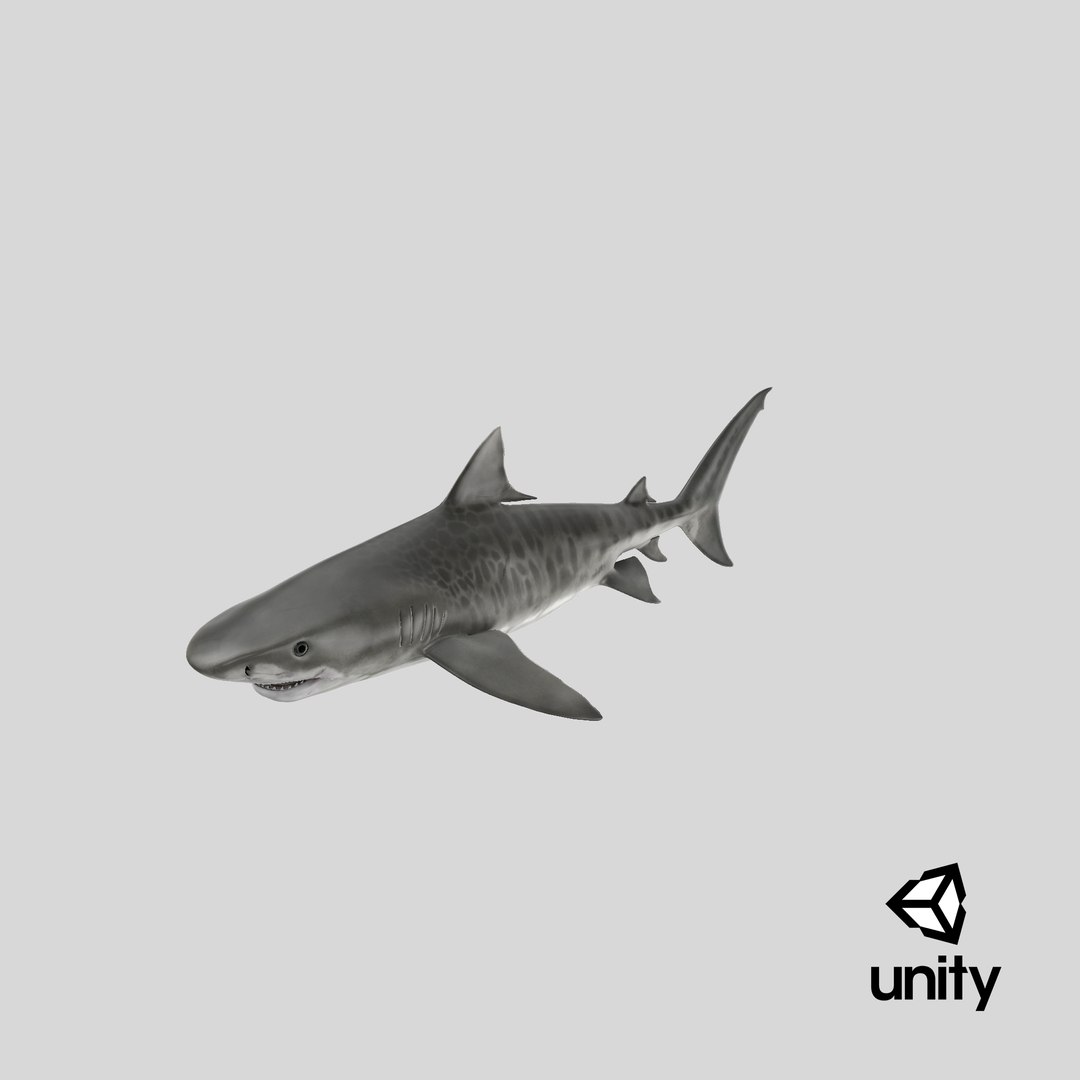 3d tiger shark https://p.turbosquid.com/ts-thumb/zU/oaMDGp/Gm/unity_capture/png/1669827069/1920x1080/fit_q87/9d01c3a7c1ead12dc0d22f5874832ad780b3a66d/unity_capture.jpg