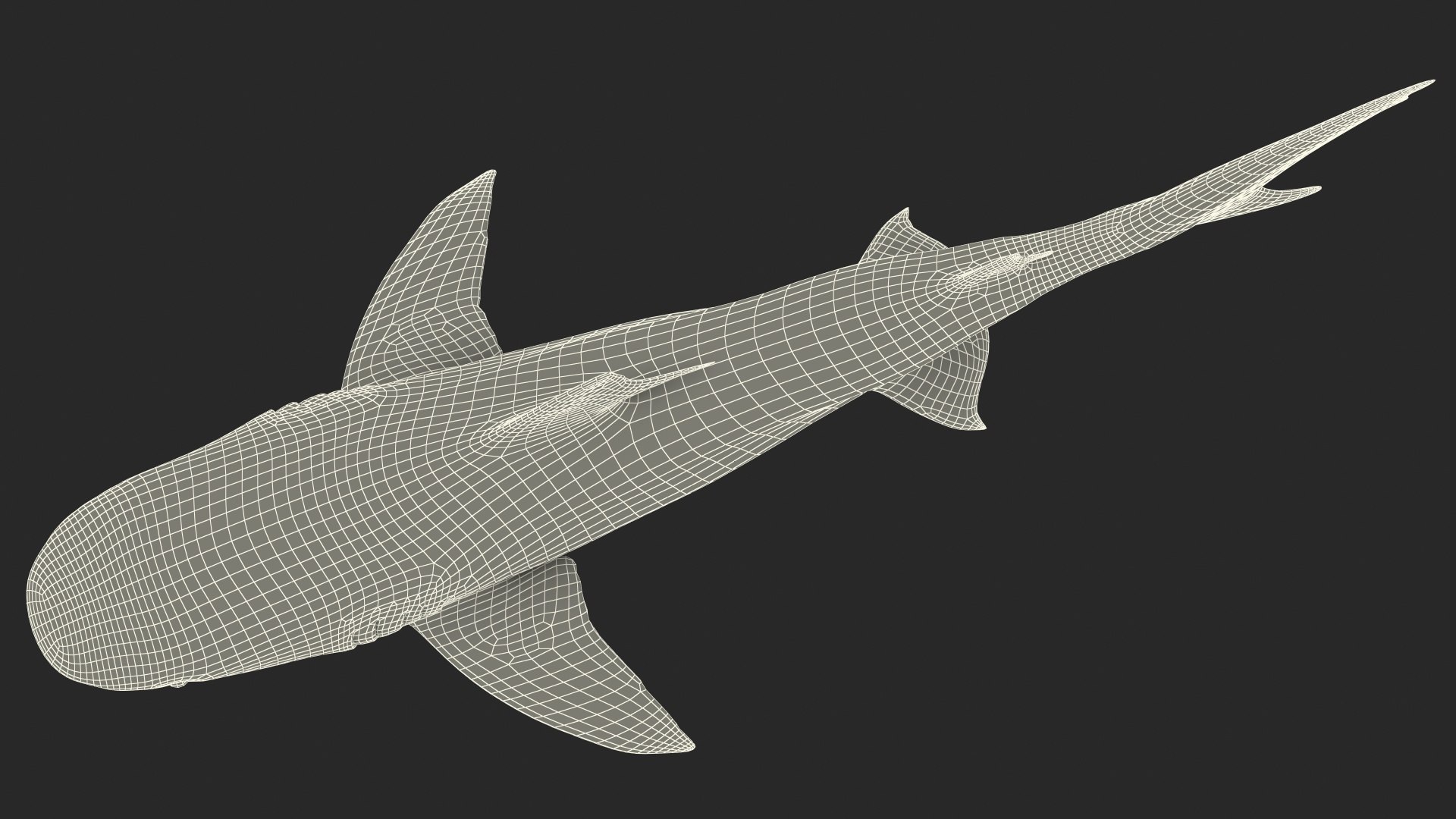 3d tiger shark https://p.turbosquid.com/ts-thumb/zU/oaMDGp/JW/tiger_shark_028/jpg/1669365535/1920x1080/fit_q87/e817fdb43d9adfe87daa46218244f72a5e62db76/tiger_shark_028.jpg