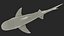 Tiger Shark