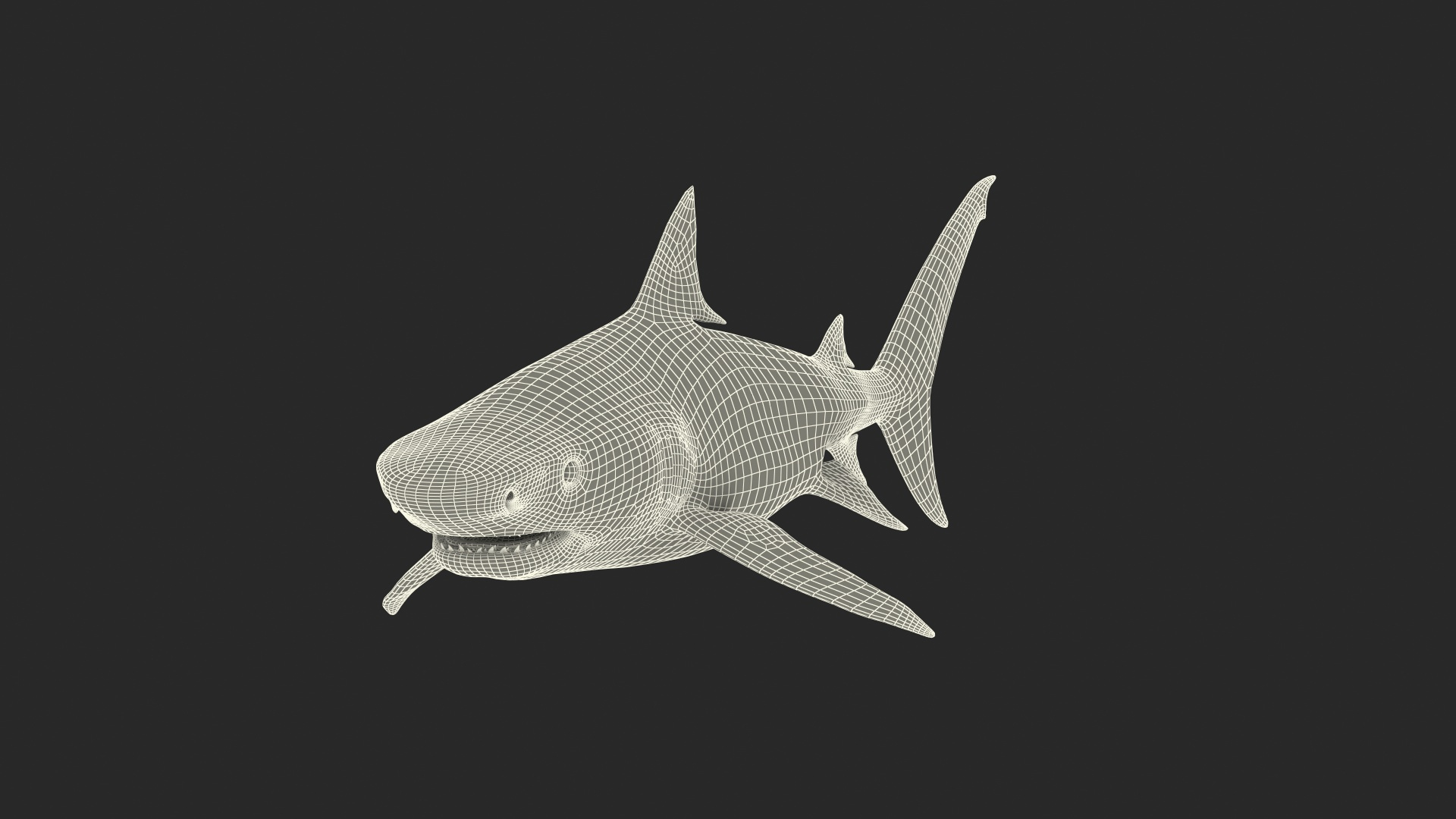 3d tiger shark https://p.turbosquid.com/ts-thumb/zU/oaMDGp/Jp/tiger_shark_361/jpg/1669365635/1920x1080/turn_fit_q99/e5052d8c231916b5a139c4b359163f1dde6492eb/tiger_shark_361-1.jpg