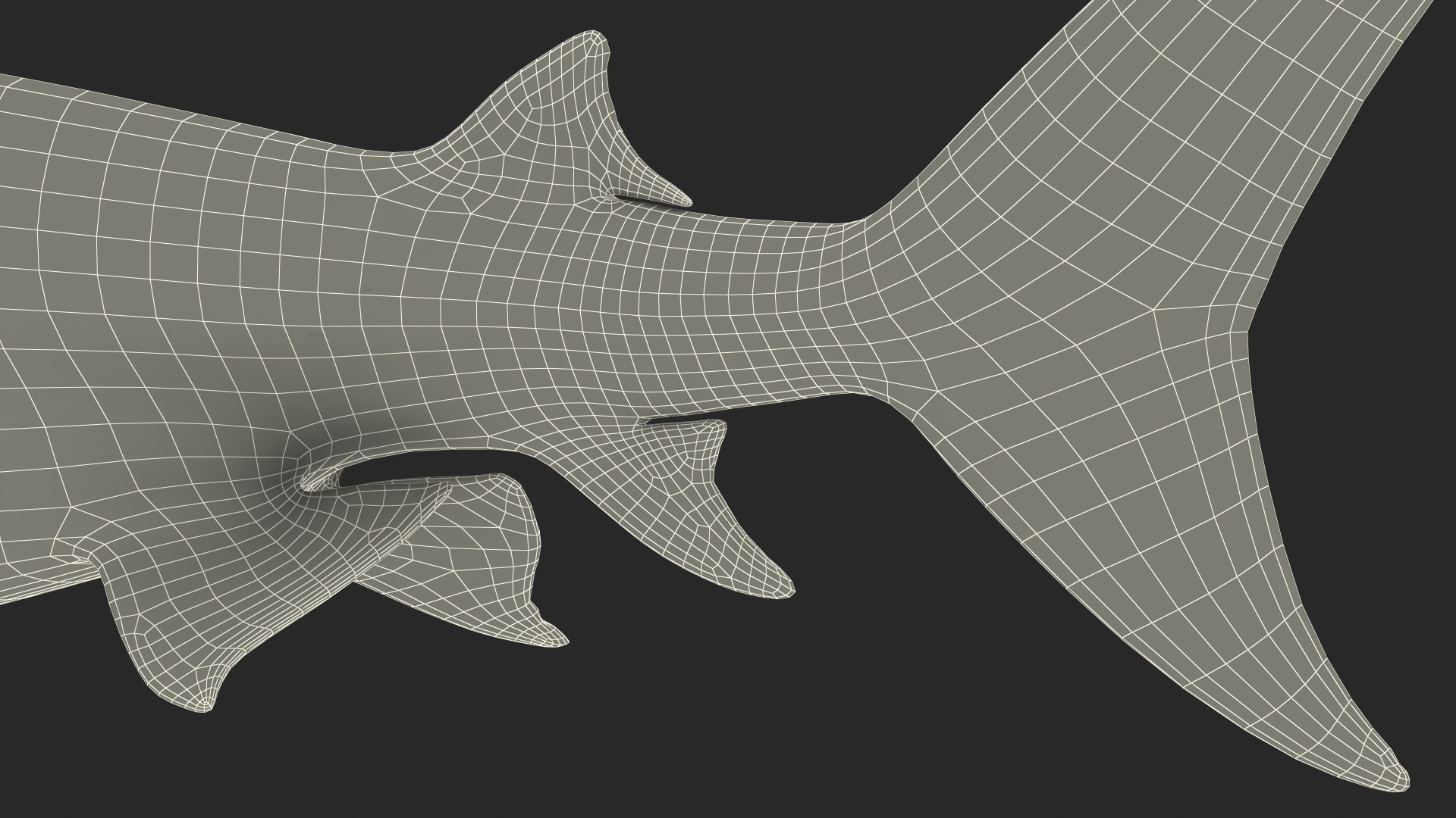3d tiger shark https://p.turbosquid.com/ts-thumb/zU/oaMDGp/LQ/tiger_shark_031/jpg/1669365536/1920x1080/fit_q87/bb0e4bb11a2be2e7513a3e0e3f296ffd9eb11e3e/tiger_shark_031.jpg