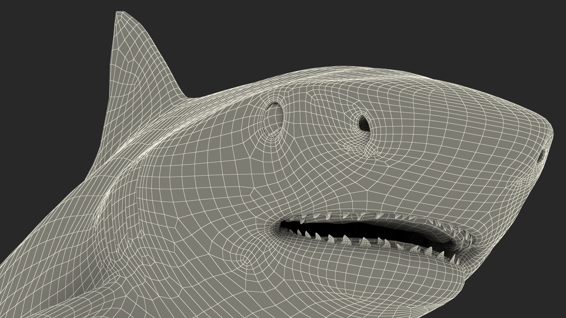 3d tiger shark https://p.turbosquid.com/ts-thumb/zU/oaMDGp/Xs/tiger_shark_030/jpg/1669365536/1920x1080/fit_q87/5881c29a1452dc19a72368c66b86915fbc748e15/tiger_shark_030.jpg