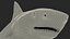 Tiger Shark