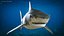 Tiger Shark