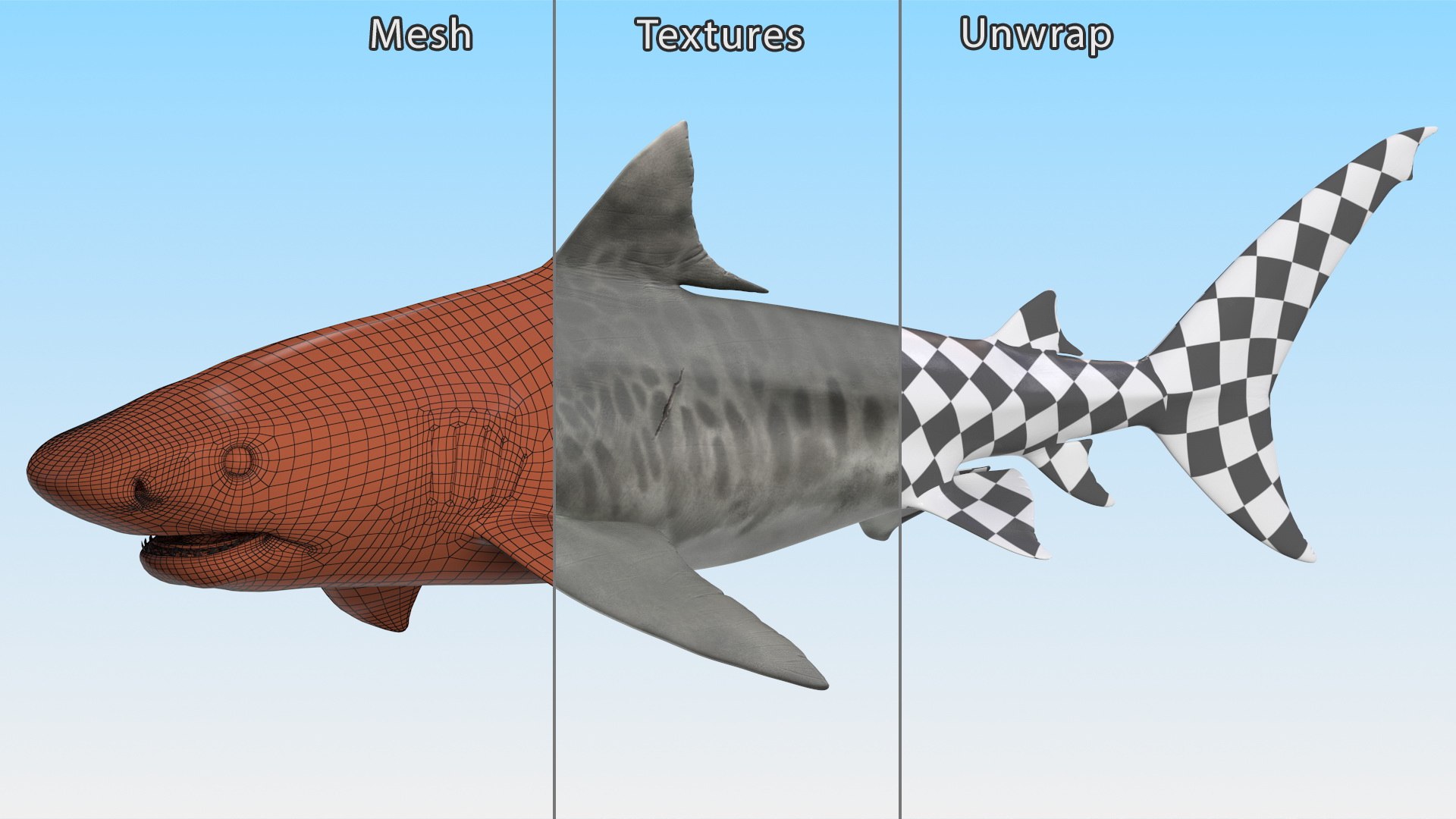 3d tiger shark https://p.turbosquid.com/ts-thumb/zU/oaMDGp/gZ/tiger_shark_021/jpg/1669365531/1920x1080/fit_q87/c8b37a378a56dd82d94c10b702e6de2e9bfc4fc6/tiger_shark_021.jpg