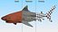 Tiger Shark