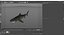 Tiger Shark