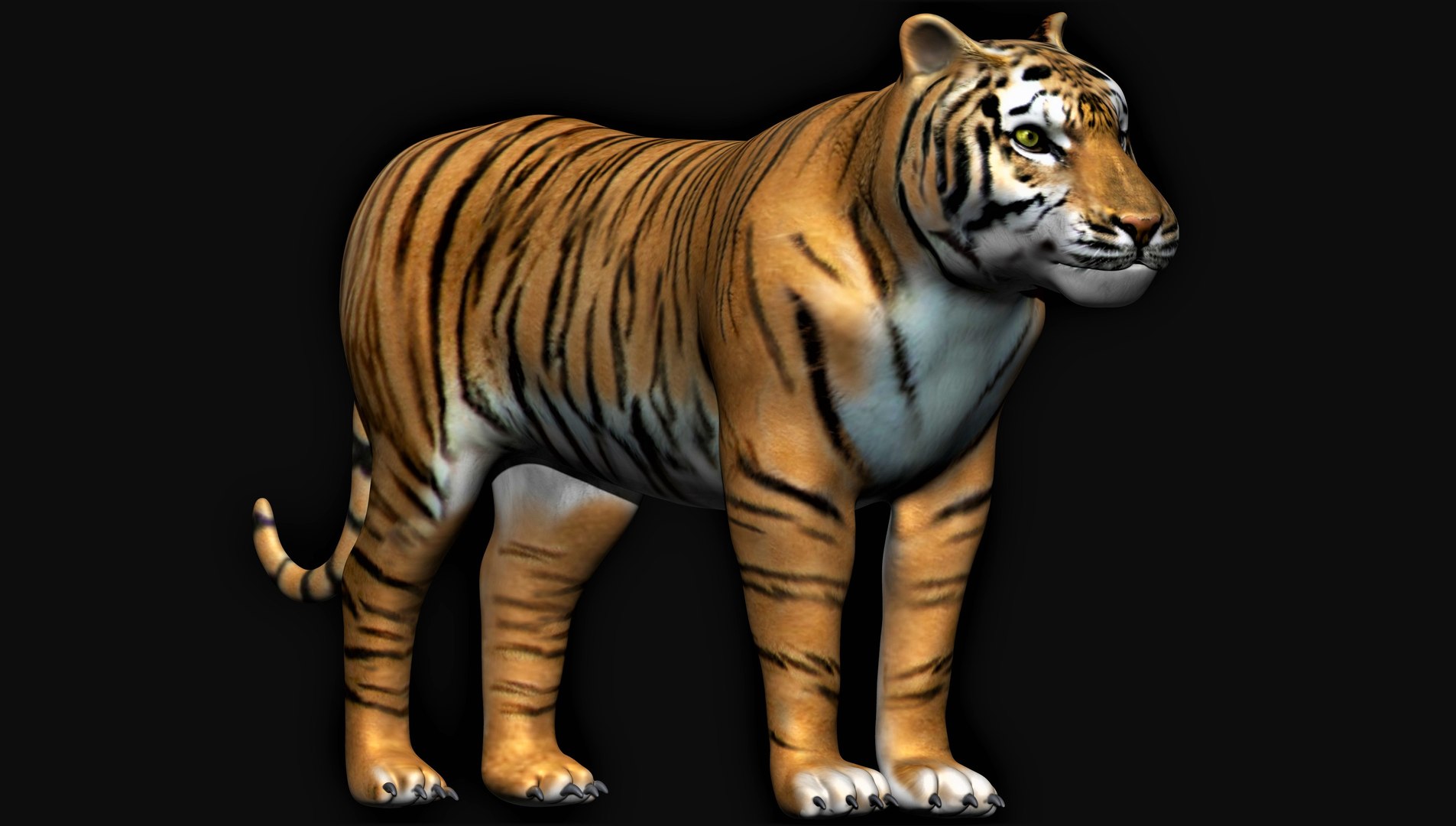 Tigre deitado Modelo 3D - TurboSquid 1272200