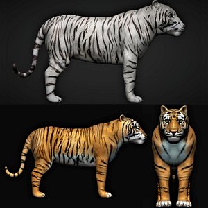 fully rigged low polygon Tiger and white tiger collection