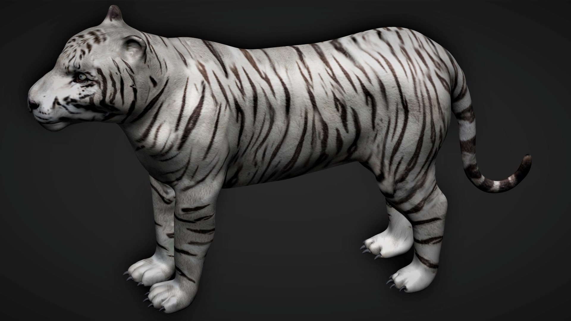 Tigre deitado Modelo 3D - TurboSquid 1272200