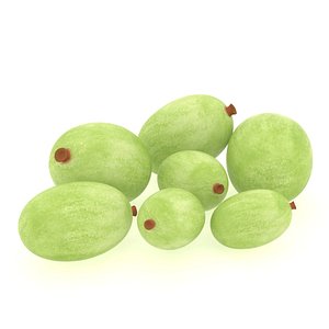seeds nut flower 3D model