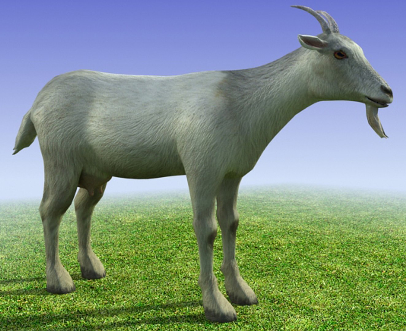 3ds Max Goat