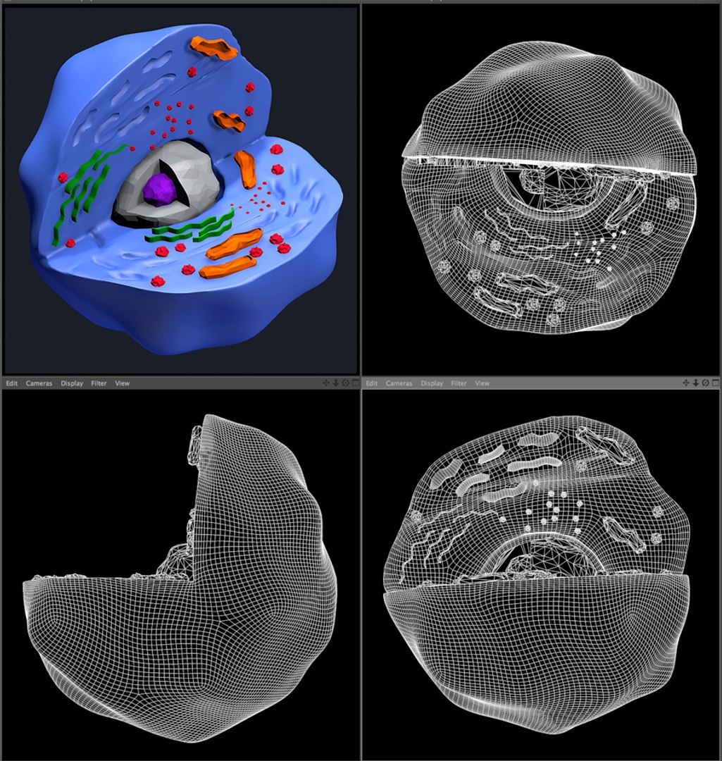 3ds Max Human Cell Color