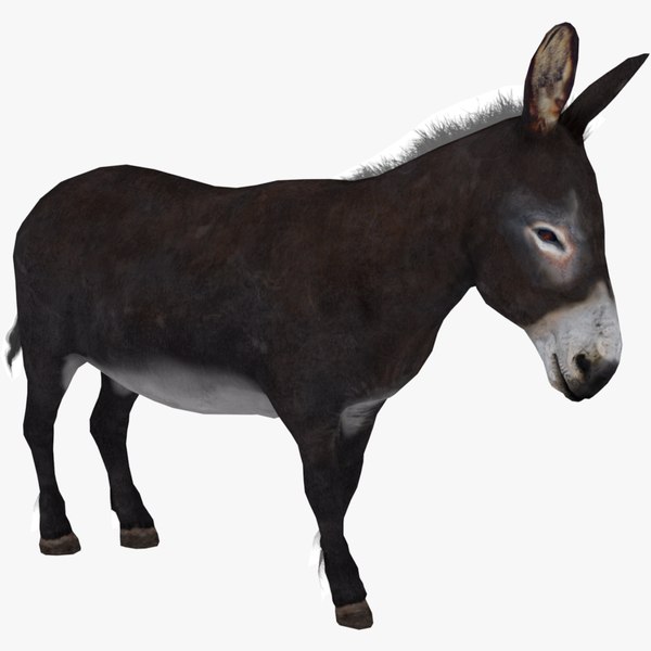 Donkey 3D model