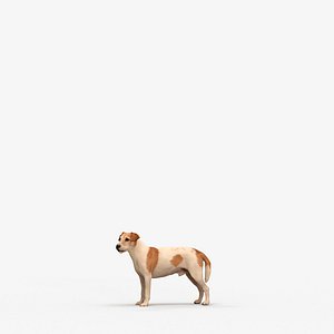 00084Chris011 - Adult Caucasian person standing in contemporary architectural space for visualizatio