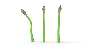 Asparagus with Shapes
