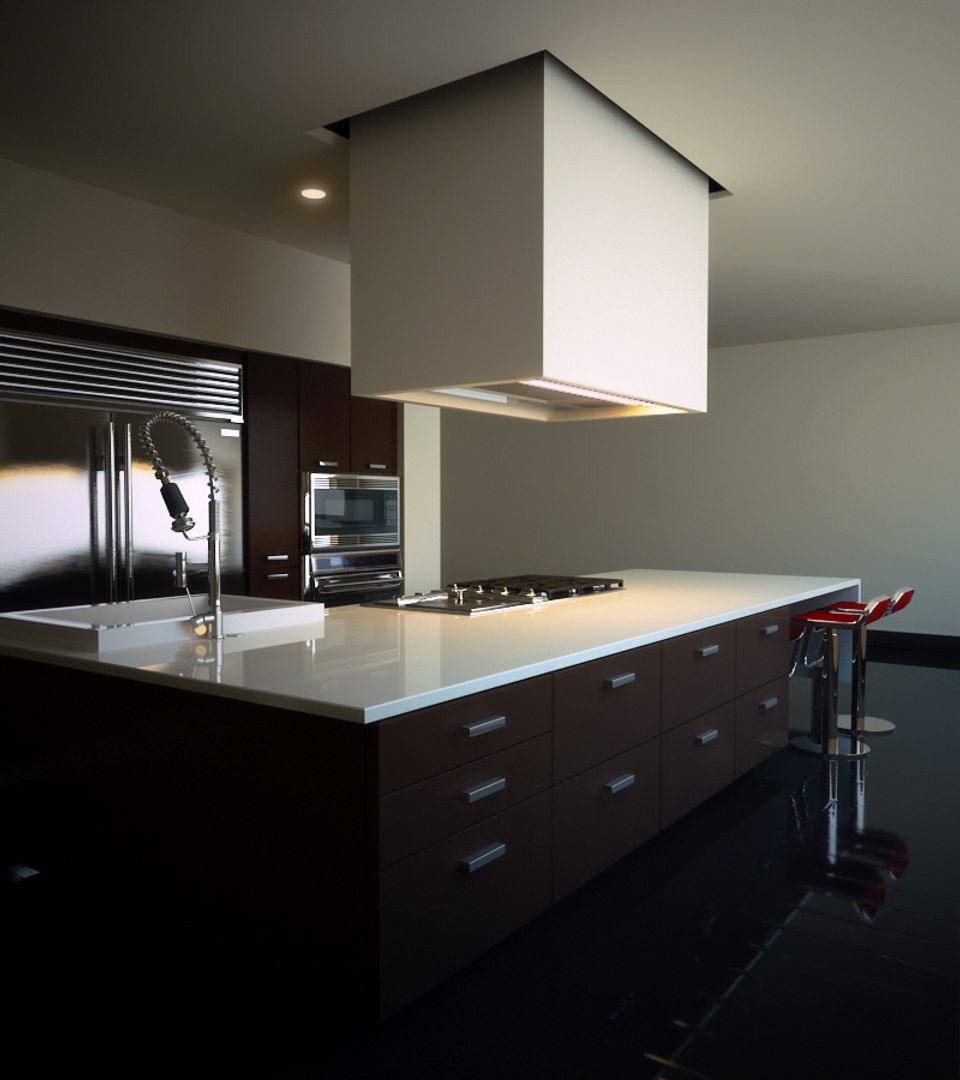 Max Fast 2009 Modern Kitchen