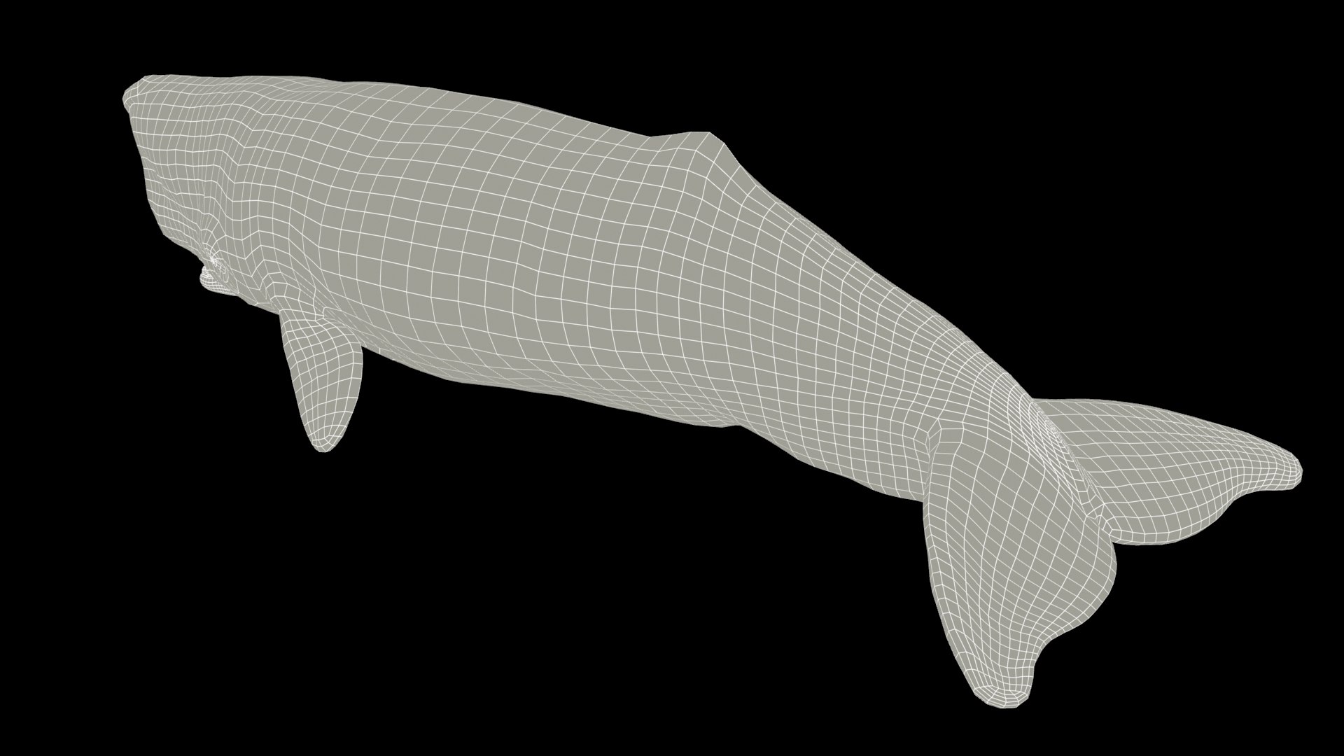 Sperm Whale - Animated Low Poly 3D Model 3D model https://p.turbosquid.com/ts-thumb/zV/jaWNyC/h1/12spermwhale_screenshot/jpg/1775133669/1920x1080/fit_q87/508c7e7173be4f6e0b96b4f16c095cb4fa28f595/12spermwhale_screenshot.jpg